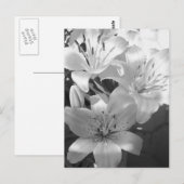 b&wユリ ポストカード (正面/裏面)