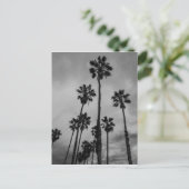 B&Wロサンゼルスのやし ポストカード (スタンド正面)