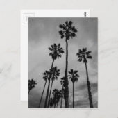 B&Wロサンゼルスのやし ポストカード (正面/裏面)