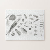 B&W科学微生物倍率顕微鏡 ジグソーパズル (横)