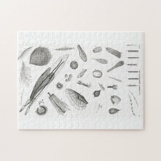 B&W科学微生物倍率顕微鏡 ジグソーパズル (横)