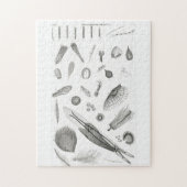 B&W科学微生物倍率顕微鏡 ジグソーパズル (縦)