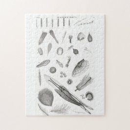 B&W科学微生物倍率顕微鏡 ジグソーパズル