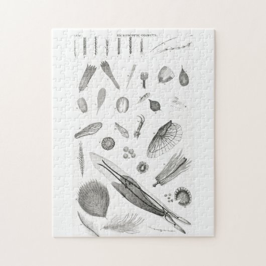 B&W科学微生物倍率顕微鏡 ジグソーパズル (縦)