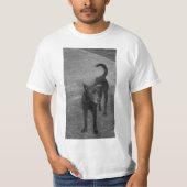 B&W - アスピン Tシャツ (正面)