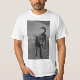 B&W - アスピン Tシャツ