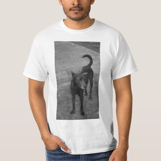B&W - アスピン Tシャツ (正面)
