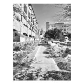 B&W フォトプリント            (正面)