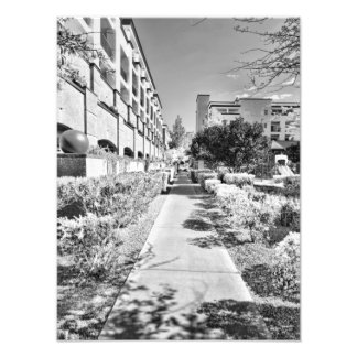 B&W フォトプリント           