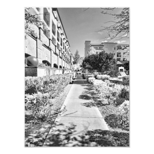 B&W フォトプリント            (正面)