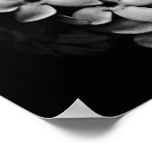 B&W ポスター (角)