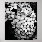 B&W ポスター (正面)