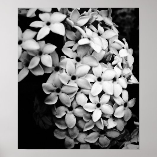 B&W ポスター (正面)