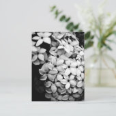 B&W ポストカード (スタンド正面)