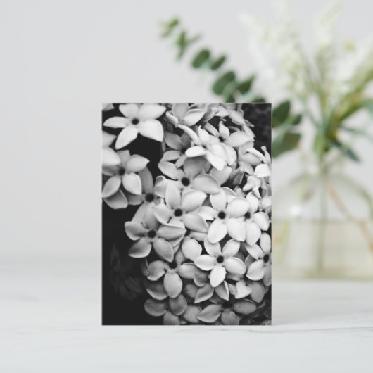 B&W ポストカード (スタンド正面)