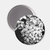 B&W マグネット (正面/裏面)