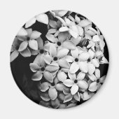 B&W マグネット (正面)