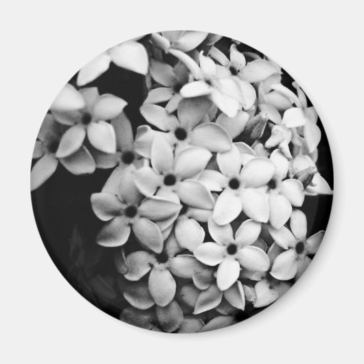 B&W マグネット (正面)