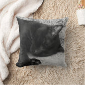 B&W - 眠る猫 クッション (ブランケット)