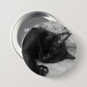 B&W - 眠る猫 缶バッジ (正面&裏面)