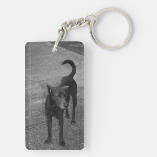 B&W - Aspin キーホルダー (裏面)