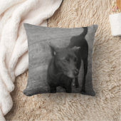 B&W - Aspin クッション (ブランケット)