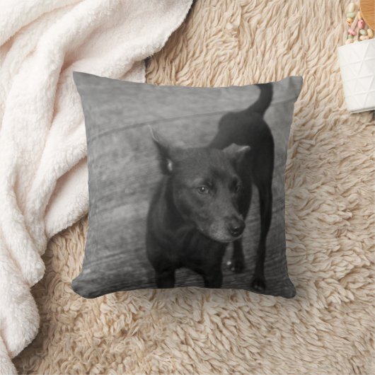 B&W - Aspin クッション (ブランケット)