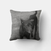 B&W - Aspin クッション (裏面)