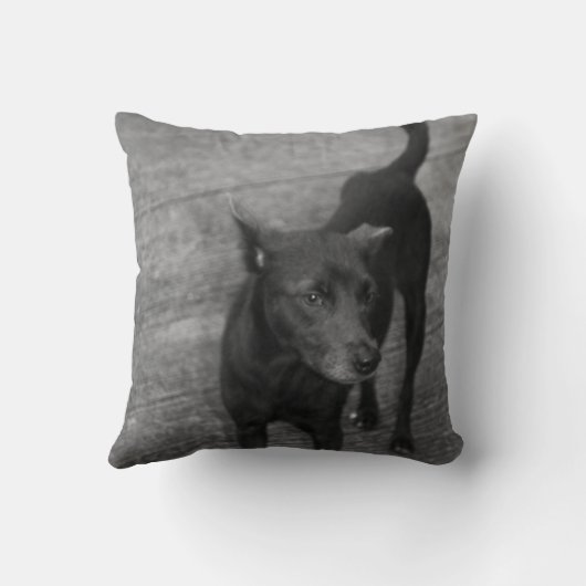 B&W - Aspin クッション (裏面)