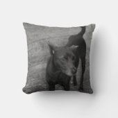 B&W - Aspin クッション (正面)