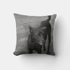 B&W - Aspin クッション