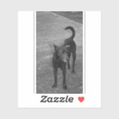 B&W - Aspin シール (シート)