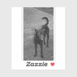 B&W - Aspin シール