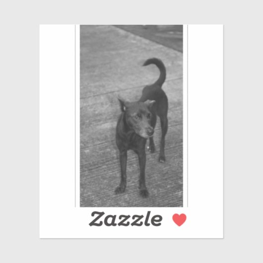 B&W - Aspin シール (シート)