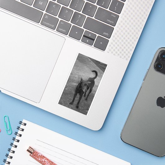 B&W - Aspin シール (ノートパソコンとiPhone)