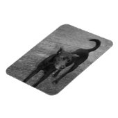 B&W - Aspin マグネット (左側)