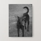 B&W - Aspin 缶バッジ (正面)