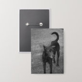 B&W - Aspin 缶バッジ (正面/裏面)