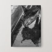 B&W - Cat Drink 缶バッジ (正面)