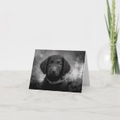 B&W NotecardのLabradoodle カード (正面)