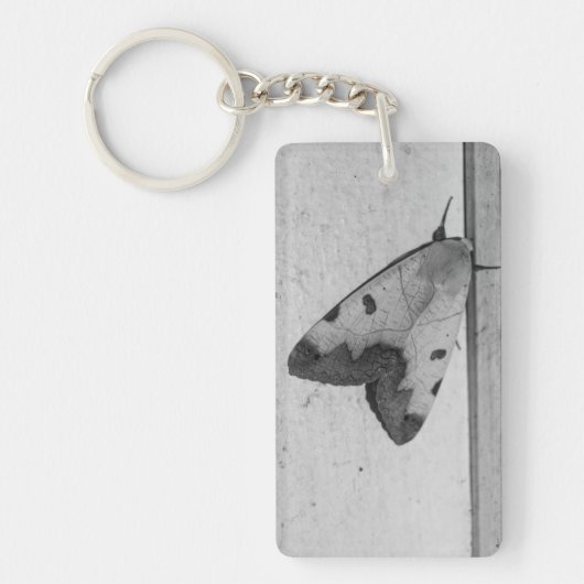 B&W - Ophiusa tirhaca，グリーンドラブ キーホルダー (正面)