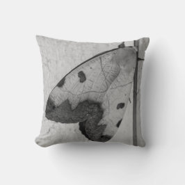 B&W - Ophiusa tirhaca，グリーンドラブ クッション