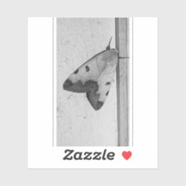 B&W - Ophiusa tirhaca，グリーンドラブ シール