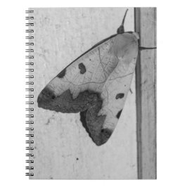 B&W - Ophiusa tirhaca，グリーンドラブ ノートブック