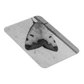 B&W - Ophiusa tirhaca，グリーンドラブ マグネット (右側)