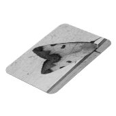 B&W - Ophiusa tirhaca，グリーンドラブ マグネット (左側)