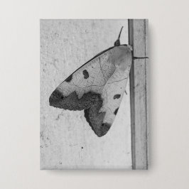 B&W - Ophiusa tirhaca，グリーンドラブ 缶バッジ