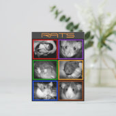 B&W RATSコラージュポストカード ポストカード (スタンド正面)