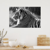 B&W Tigerプロフィール写真 ポスター (キッチン)