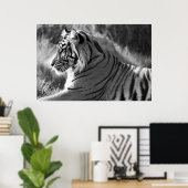 B&W Tigerプロフィール写真 ポスター (ホームオフィス)